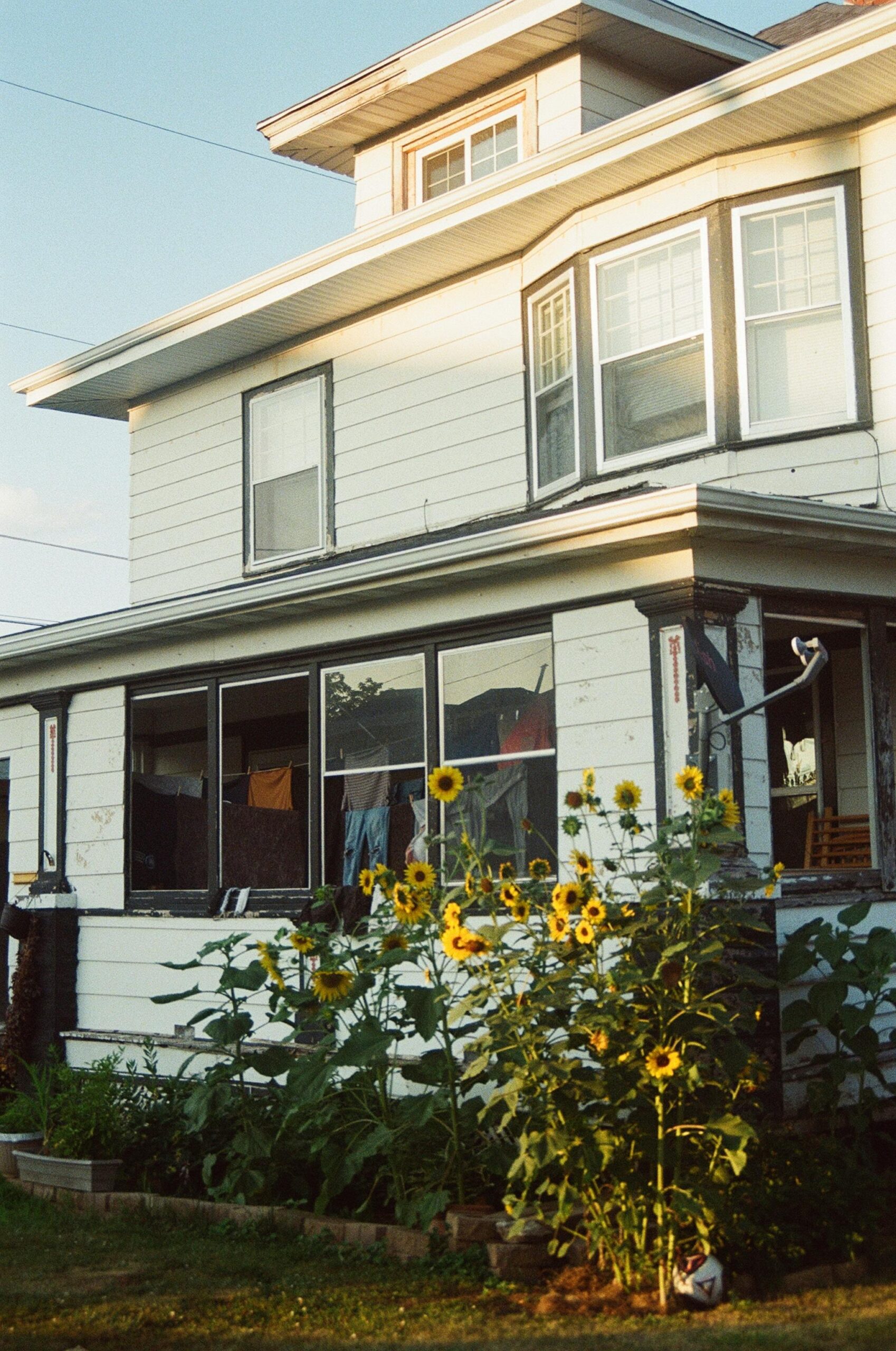 A nostalgic exterior view of a vintage house with a sunflower garden, captured on film.